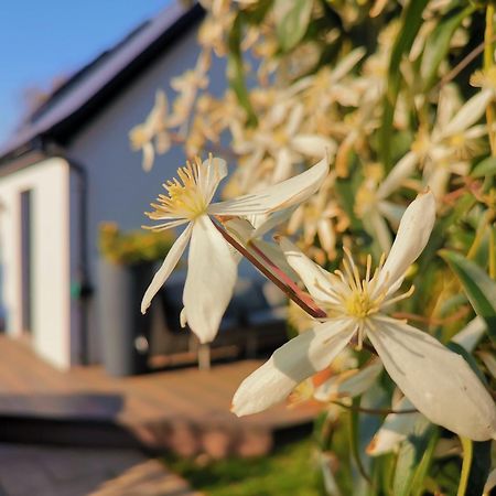 Hastings Casita, 'Little House' Self Contained Garden Lodge, Close To Town And Seafront エクステリア 写真