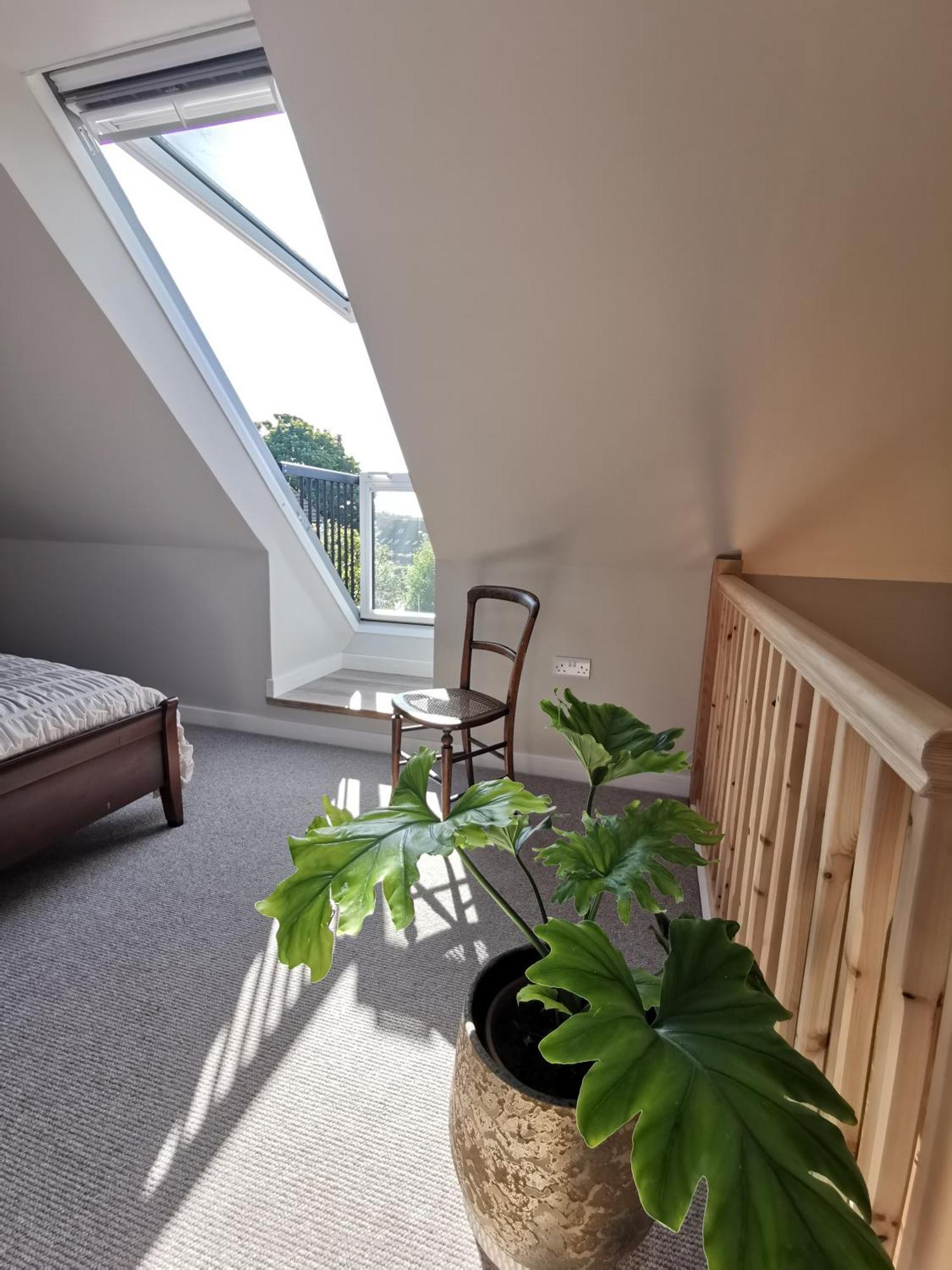 Hastings Casita, 'Little House' Self Contained Garden Lodge, Close To Town And Seafront エクステリア 写真