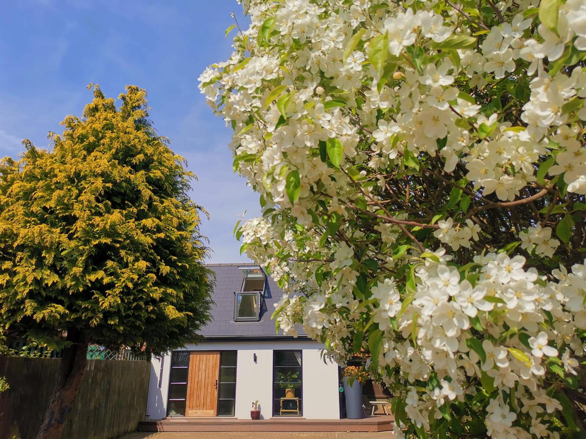 Hastings Casita, 'Little House' Self Contained Garden Lodge, Close To Town And Seafront エクステリア 写真